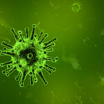 Coronavirus Outbreak: A Havoc on the Global Economy